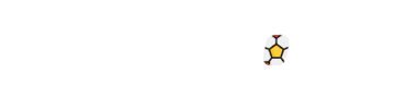 chuyện tình không định trước